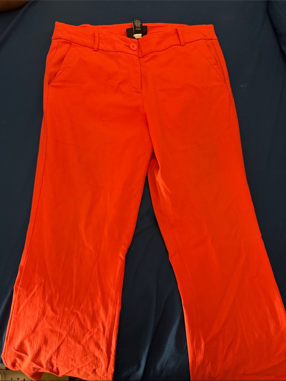 Lane Bryant Wide-Leg Pants in Bright Orange